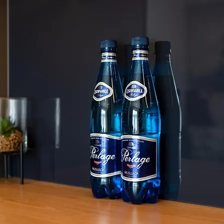 Stylish Balticus 15 With Air Conditioning By Renters ミエンジズドロイェ